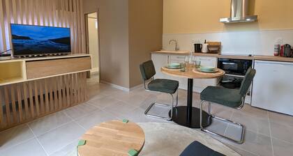 Studio confort Ă AngoulĂȘme avec terrasse, proche transports, idĂ©ale pour couples et bĂ©bĂ©s.