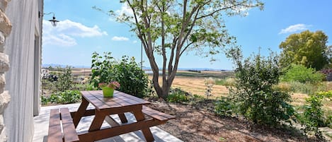 Land view from property