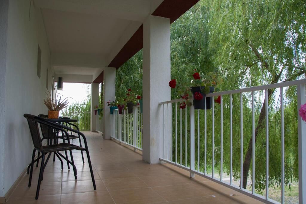A covered balcony with a table and chairs, potted plants, and a view of greenery.