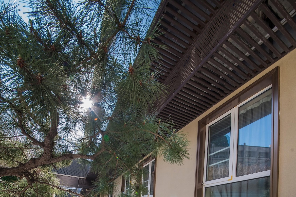 A pathway with stepping stones leading to a building with large windows and a wooden pergola.
