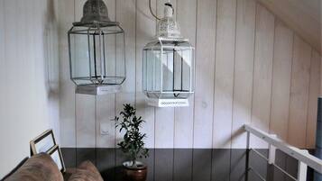 TV connectée, cheminée, livres