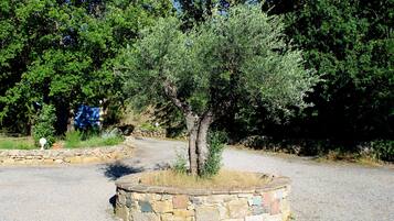 A tree in a stone planter surrounded by a gravel path.