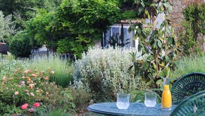 Un jardin avec une table et des chaises, entouré de différentes plantes et fleurs.