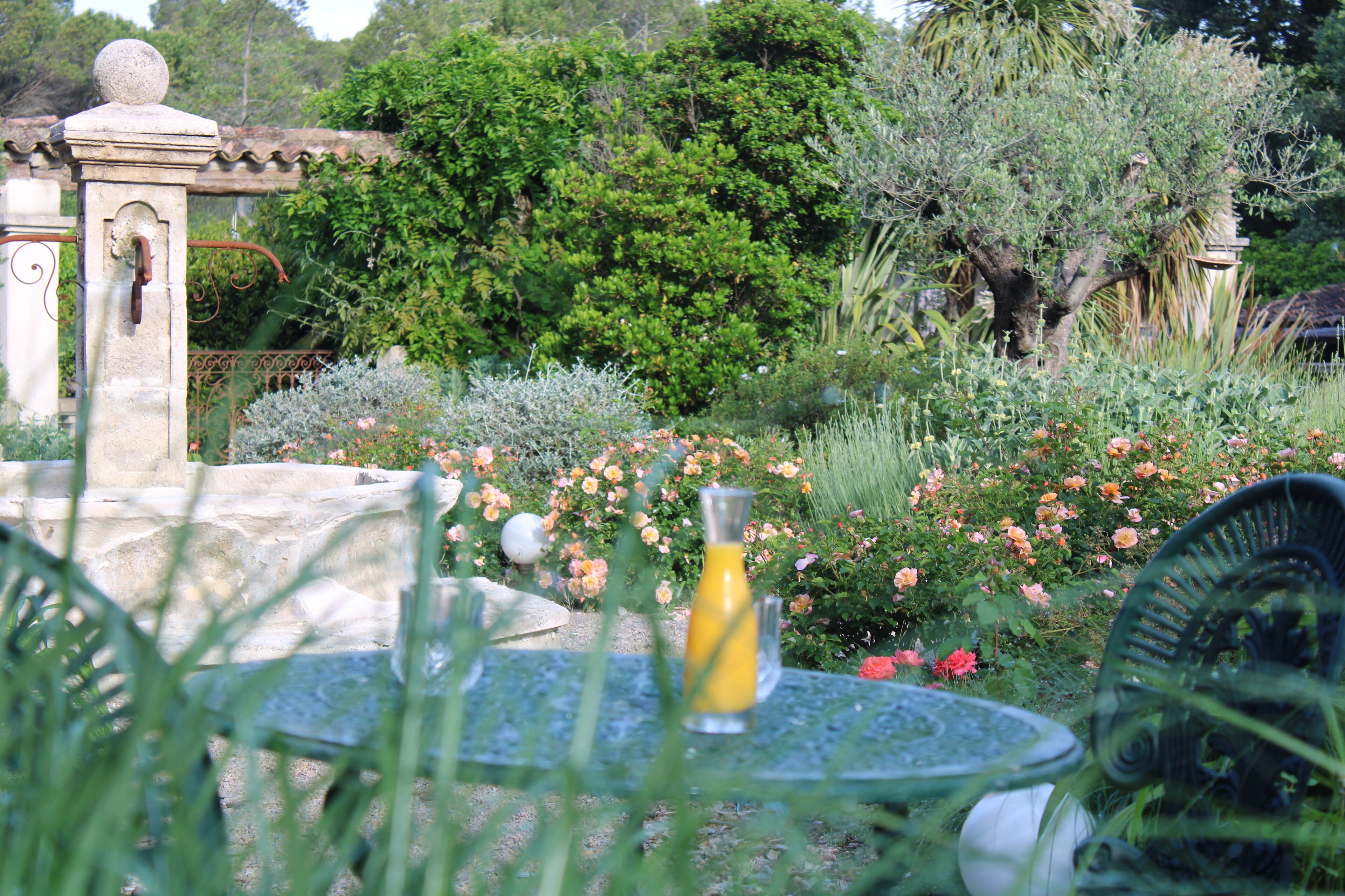 Uitzicht vanuit accommodatie