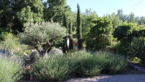 Un jardin agrémenté de diverses plantes et arbres, un sentier en pierre et une structure en bois rustique.