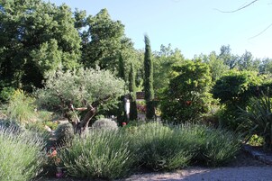 Un jardín con diversas plantas y árboles, un sendero de piedra y una estructura de madera rústica.