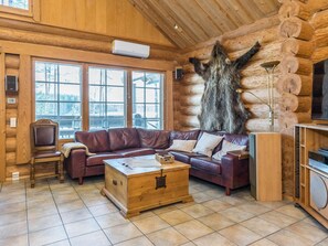 تلفزيون، مشغل دي في دي