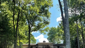 A rustic cabin with a stone staircase leading to a wooden deck, surrounded by lush greenery and tall trees. - Escape to Paradise: Your dream vacation awaits in our stunning lakefront rental! (Tomahawk)
