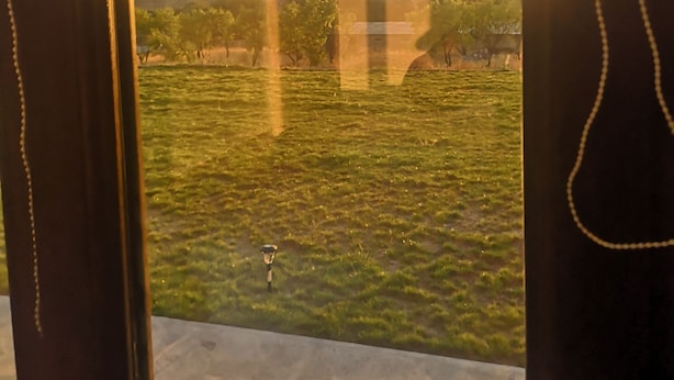 Jardim