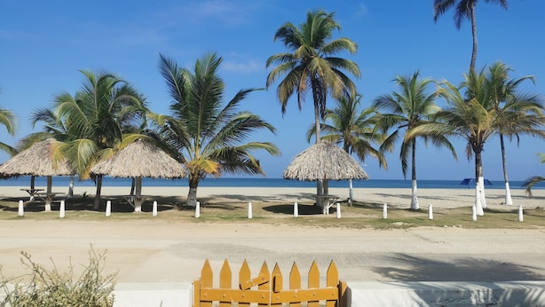 Une plage avec des huttes aux toits de chaume et des palmiers.