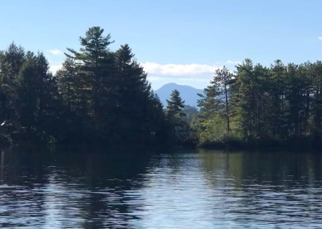 A calm lake surrounded by dense forest and a mountain in the distance.