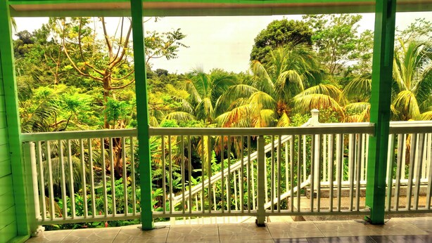 Un balcón techado con vistas a un jardín exuberante.