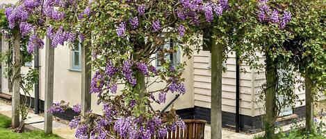 Àrea exterior de l'allotjament