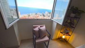 Une pièce avec vue sur la mer, un fauteuil avec des coussins et une étagère avec des plantes.