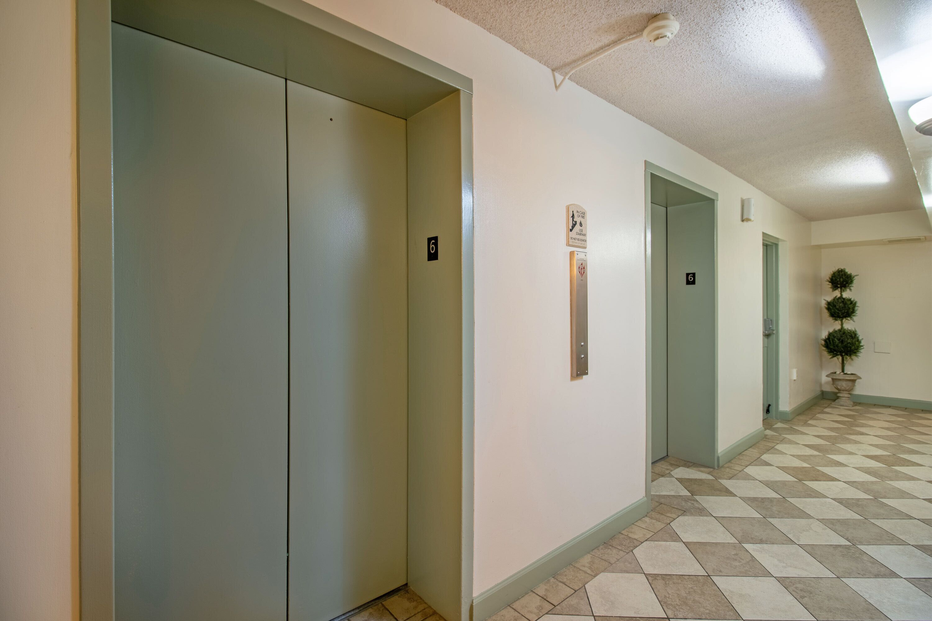 A hallway with a checkered floor, two doors with numbers, and a potted plant.