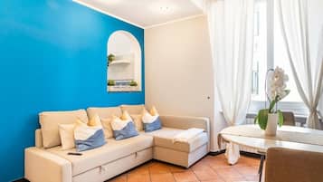 Fernseher, Arbeitsbereiche