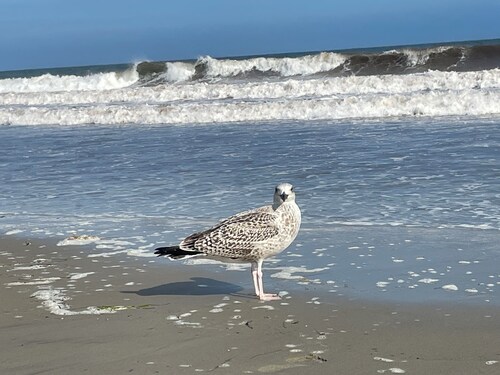 Secluded-3 bedroom spacious house in coastal Rhode Island