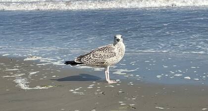 Secluded-3 bedroom spacious house in coastal Rhode Island