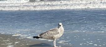 Secluded-3 bedroom spacious house in coastal Rhode Island