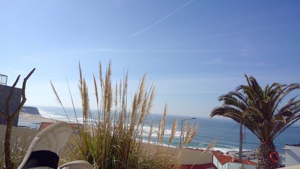 Vista sulla spiaggia con erba alta, una palma e cielo sereno.