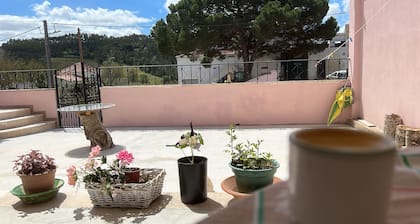 Mae Home Story