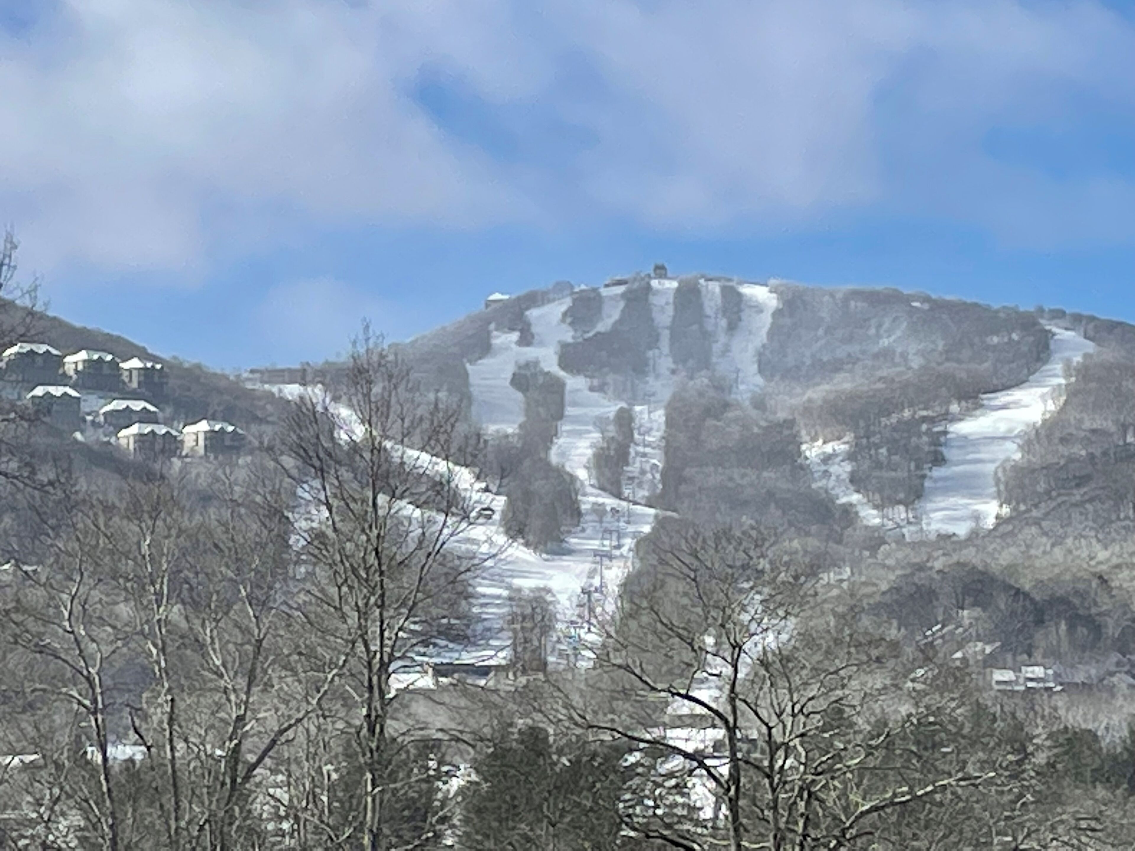 A mountain with a ski slope, surrounded by trees and buildings.
