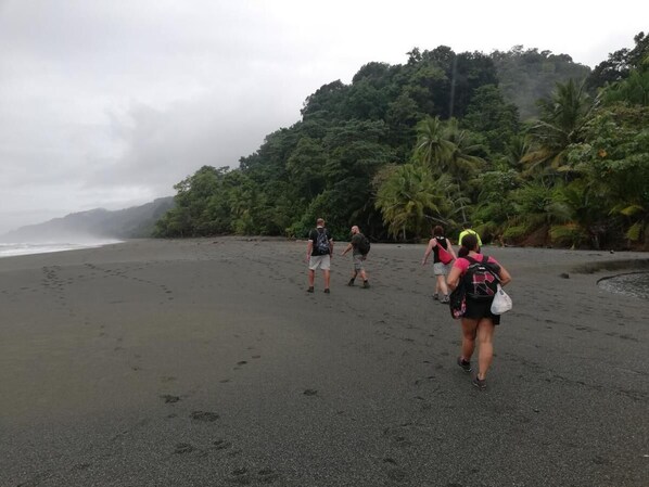 Beach - Hostel y Cabinas Tapandua (Puerto Jiménez)