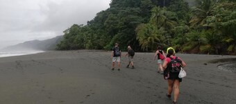 Hostel y Cabinas Tapandua