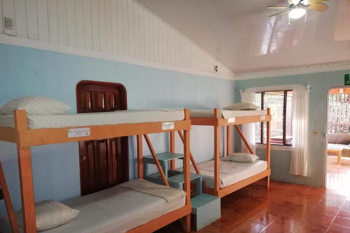 Une chambre de dortoir avec des lits superposés, une porte en bois et une fenêtre avec des rideaux.