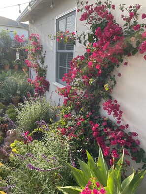Exterior detail - Lovely SB home with great light, views and location! (Santa Barbara)