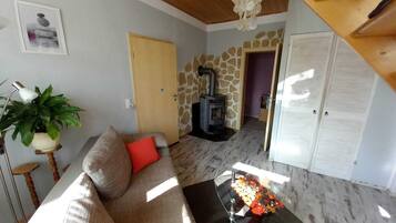 Smart-TV, Kamin