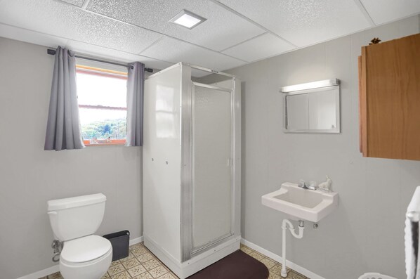 A bathroom with a toilet, a sink, a shower, and a window with curtains.
