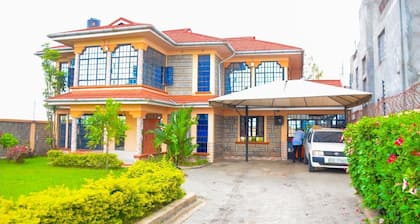 Elegant Airport Mansion