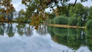 Een rustig meer met bomen die in het water worden weerspiegeld.