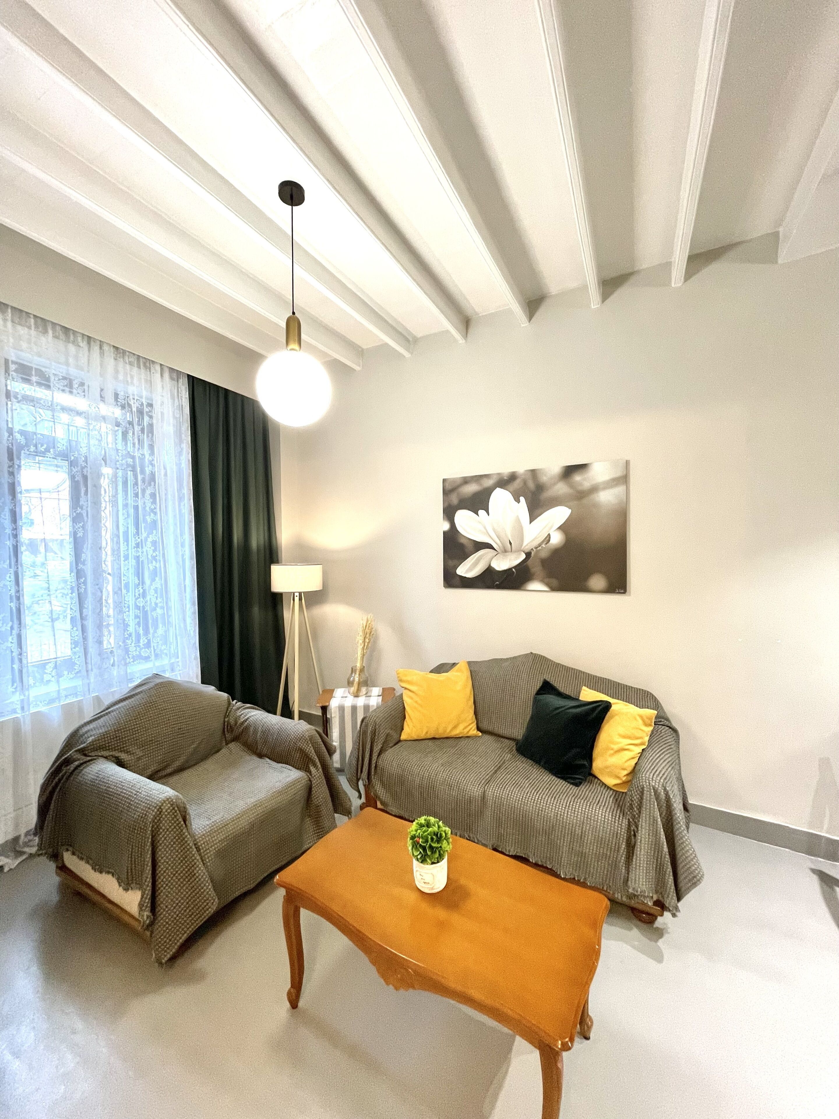 Elia downtown eco house