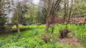 A natural landscape with a deer in the distance, surrounded by lush greenery and trees. - 2 bedroom accommodation in Snaizeholme, near Hawes (Snaizeholme, near Hawes)