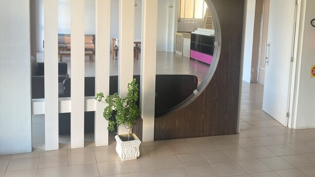 Un pasillo espacioso con diseño moderno, que presenta un panel curvo de madera, una planta en maceta y vistas a una habitación con zona de cocina.