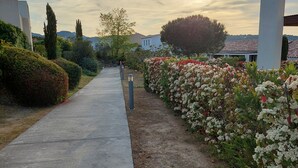A pathway flanked by neatly trimmed hedges and flowering plants, leading to a building with a white facade and a tiled roof. - Petite Maison Dans Résidence 3 Etoiles Avec Piscine (Belgodère)