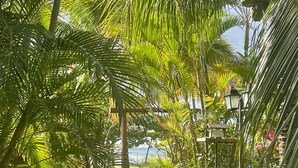 A lush garden with palm trees, a lamp post, and a view of the sea.