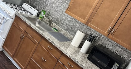 Cozy 1BR Apt in the heart of Downtown