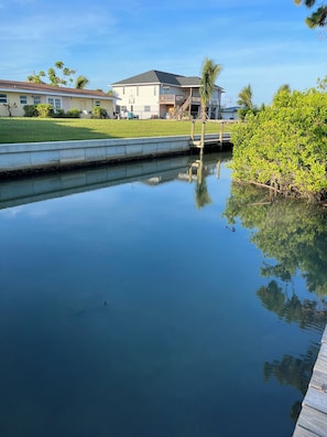 A calm water body with a wooden dock, surrounded by greenery and residential buildings.