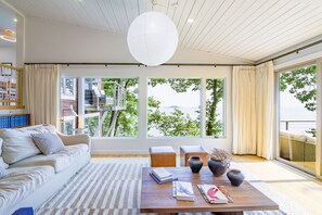 Smart TV y chimenea