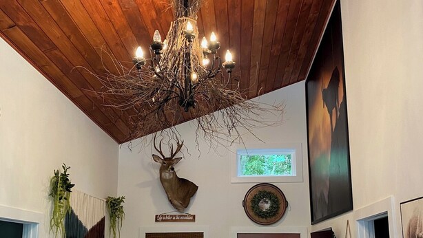 A cozy interior with a wooden ceiling, a chandelier, a deer head decoration, a couch, a red chair, a patterned rug, and a door leading outside. - Gunner's Goat House at Billy Goat Mountain Village (Williamson)