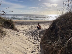 A sandy beach with a person sitting and looking at the ocean.