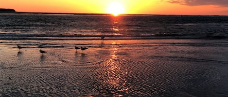 Sun-loungers, beach towels