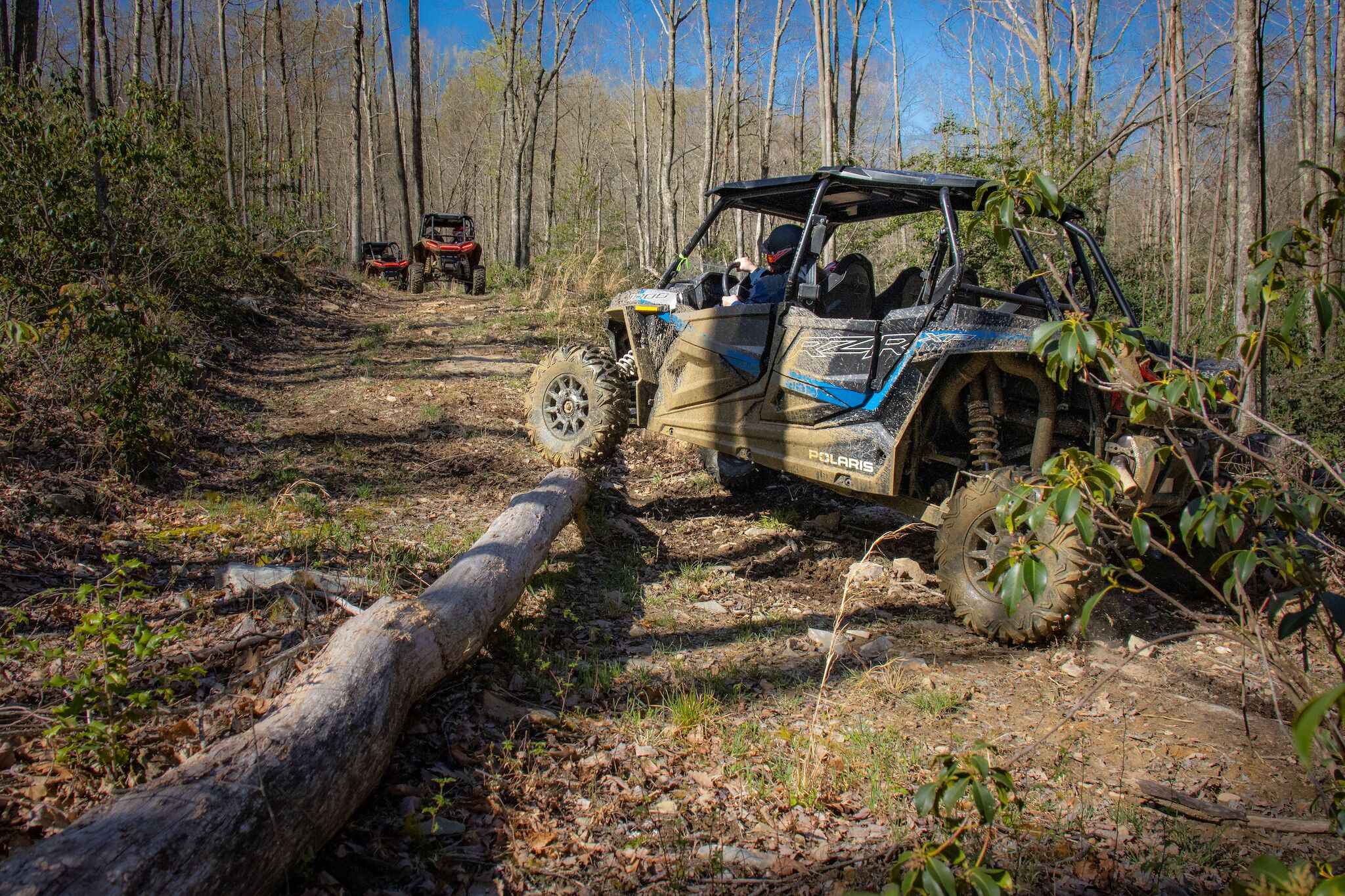 A Polaris off-road vehicle navigating a forest trail.