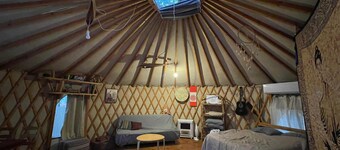 Yurt located in a little oak grove