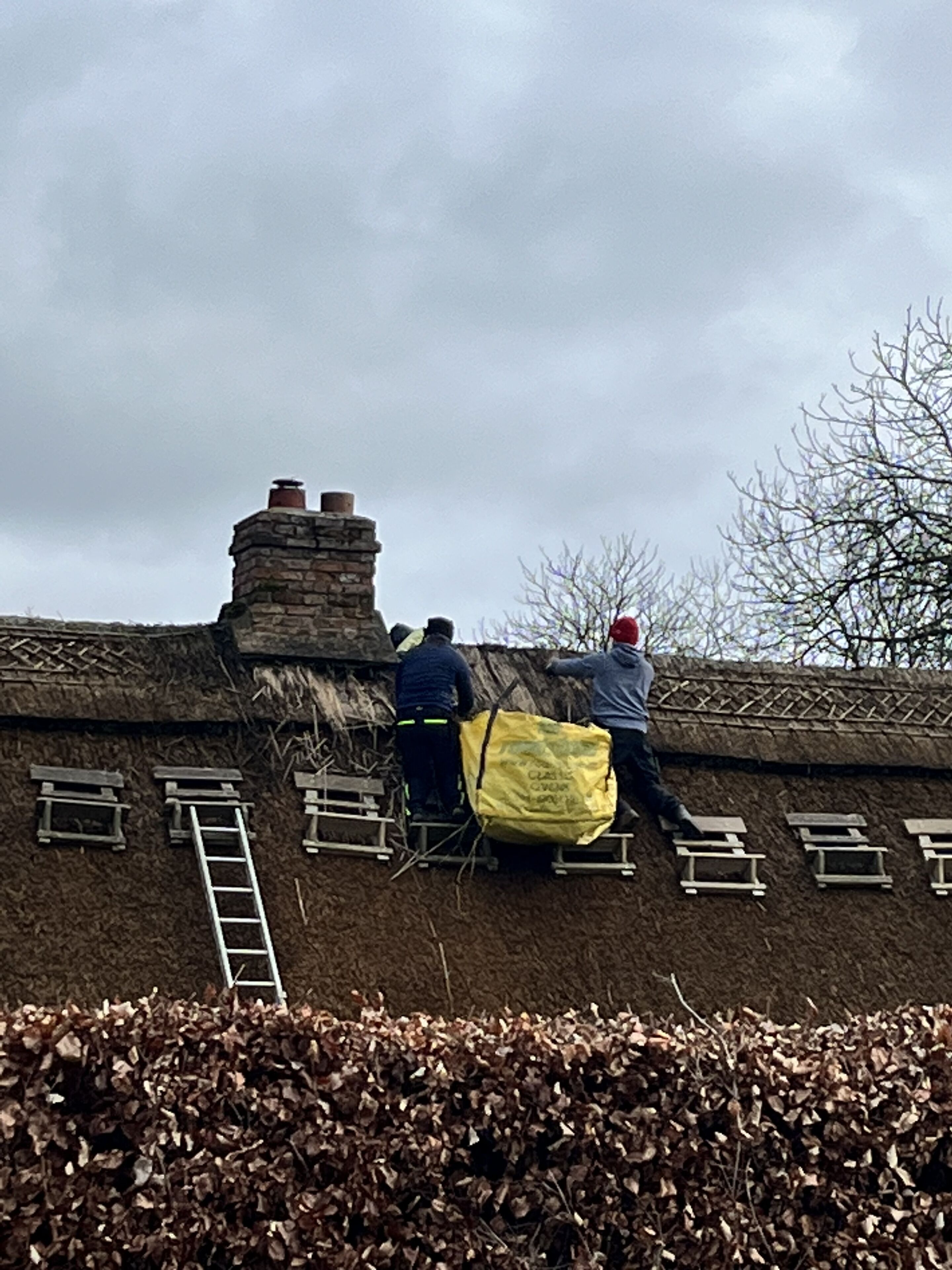 Two individuals working on a roof with a ladder and a large yellow tarp.