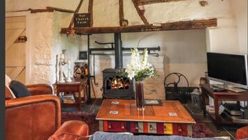Smart TV, fireplace, books, stereo