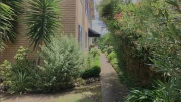 A narrow pathway flanked by dense greenery and a brick building.